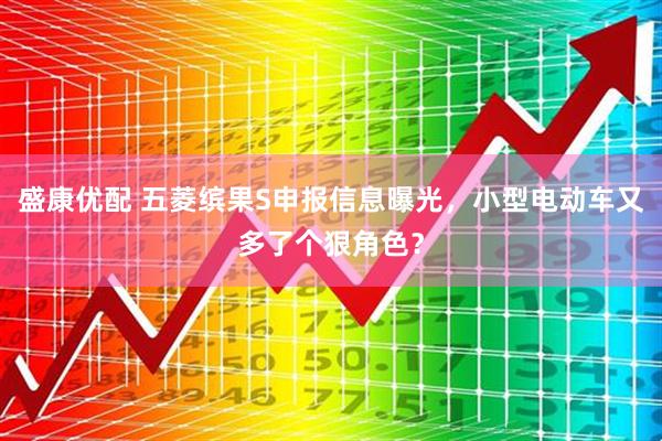 盛康优配 五菱缤果S申报信息曝光，小型电动车又多了个狠角色？