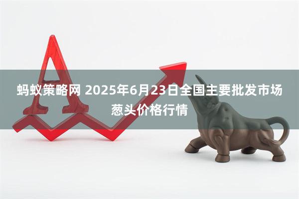 蚂蚁策略网 2025年6月23日全国主要批发市场葱头价格行情