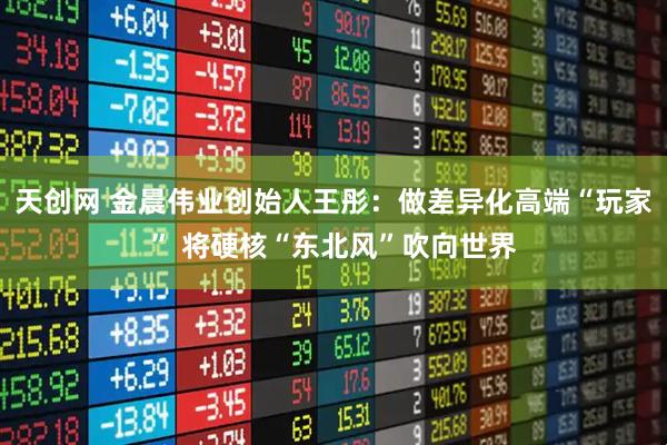 天创网 金晨伟业创始人王彤：做差异化高端“玩家” 将硬核“东北风”吹向世界